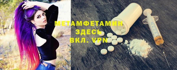 прущие грибы Магадан